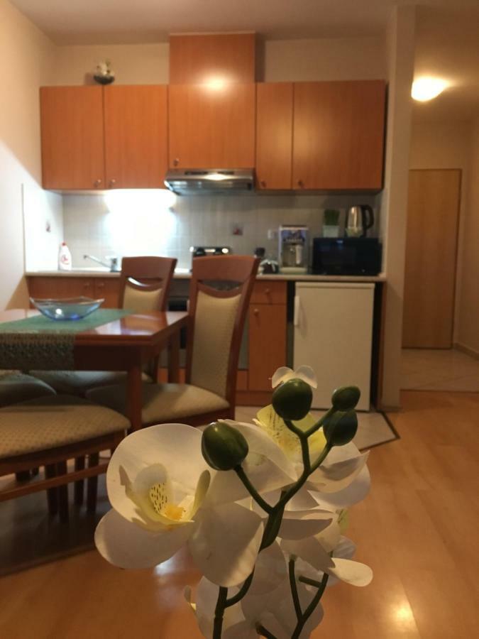 Orchidea Apartman Hegykő Exteriér fotografie