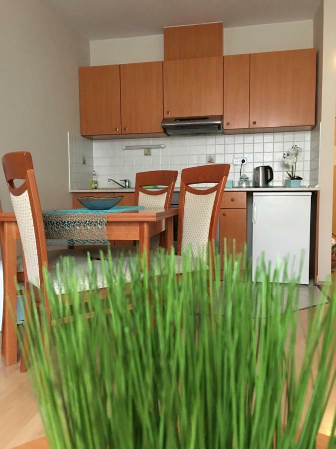 Orchidea Apartman Hegykő Exteriér fotografie